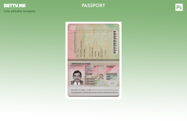 Модерен стил шаблон за Гвинеја пасош (сегашен).